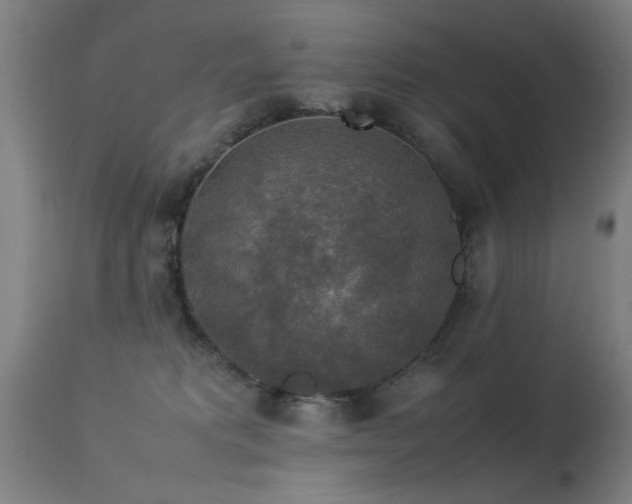 X0000113370229200909221230