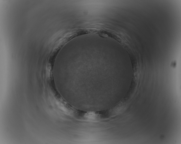 X0000113370231200909221230