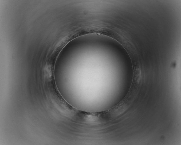 X0000113370232200909221230