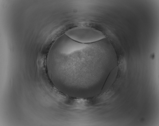X0000113370233200909221230