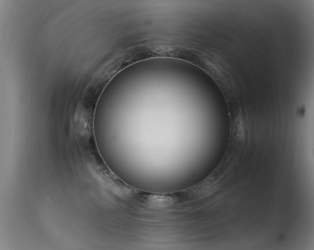 X0000113370234200909221230