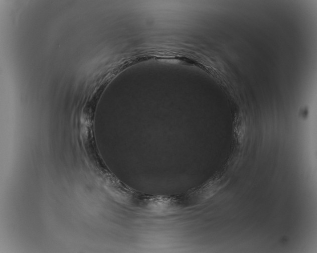 X0000113370235200909221230