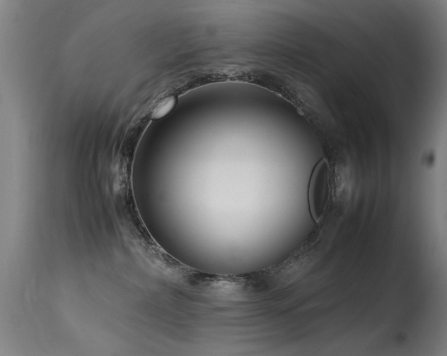 X0000113370236200909221230