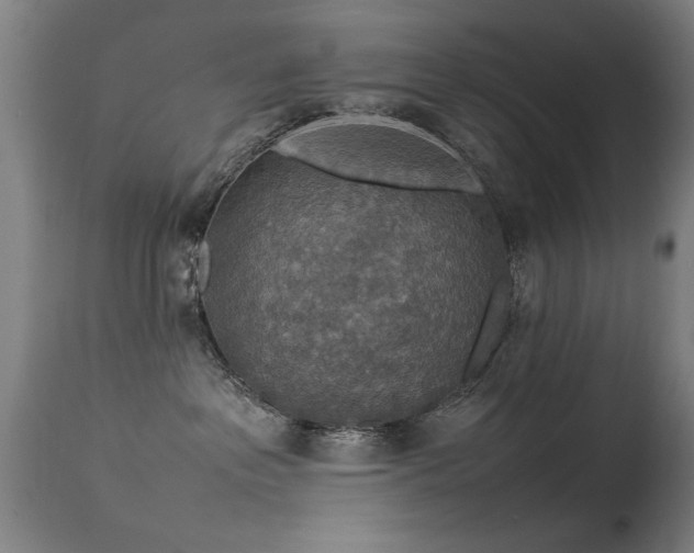 X0000113370237200909221230