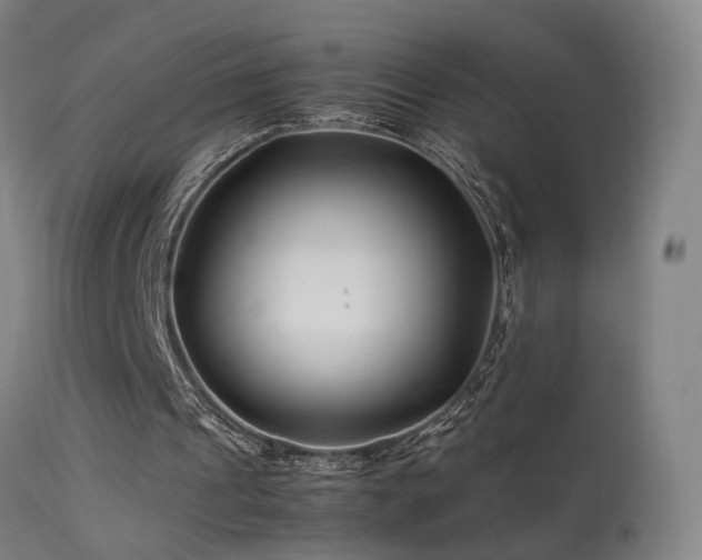 X0000113370241200909221229