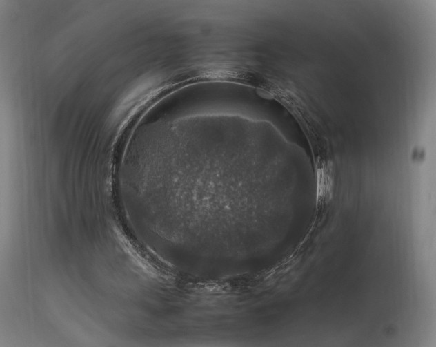 X0000113370243200909221229