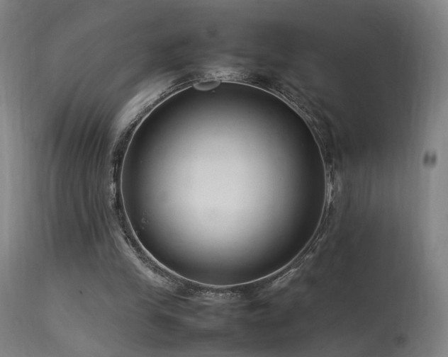 X0000113370245200909221229