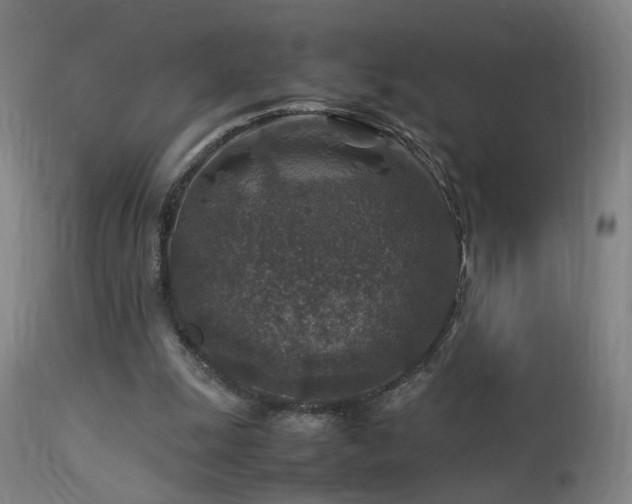 X0000113370247200909221229