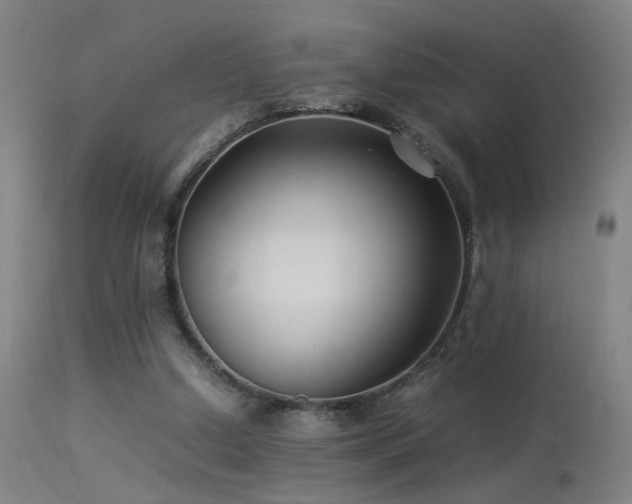 X0000113370250200909221230