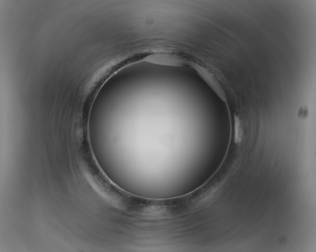 X0000113370252200909221230