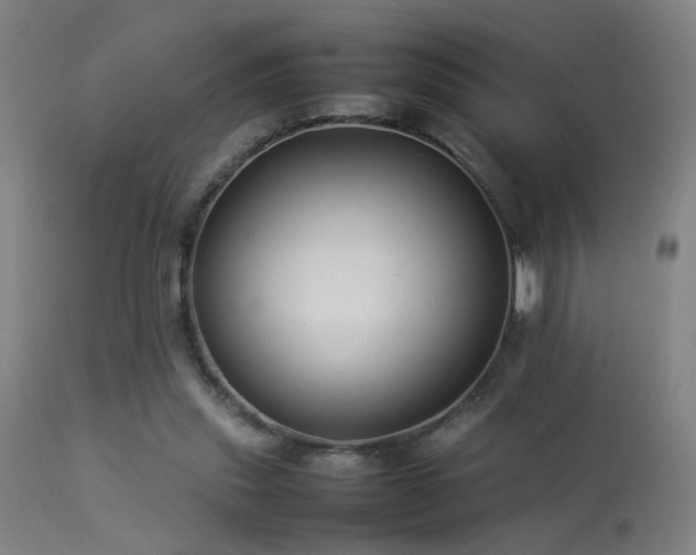 X0000113370253200909221230