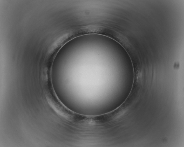 X0000113370254200909221230