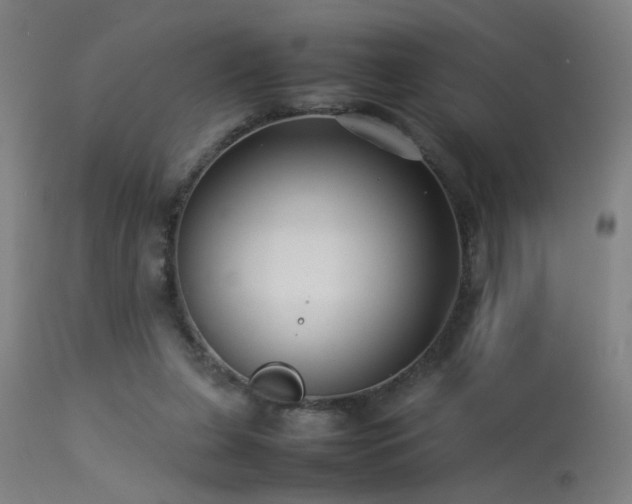 X0000113370255200909221230