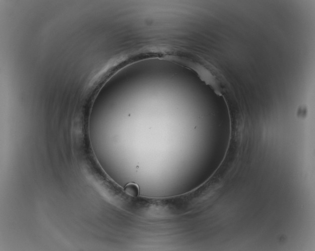 X0000113370256200909221230