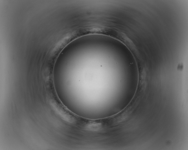 X0000113370257200909221230