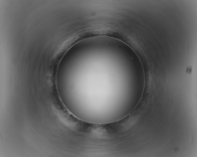 X0000113370258200909221230