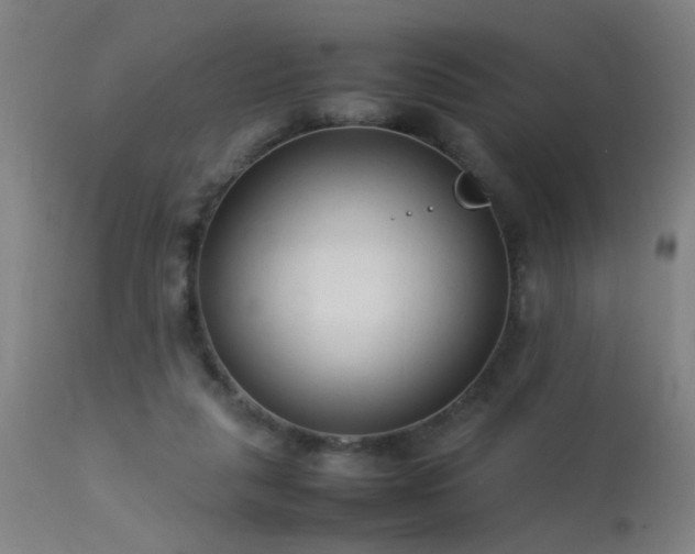 X0000113370259200909221230