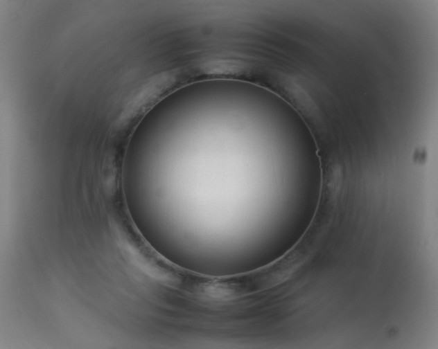 X0000113370261200909221230