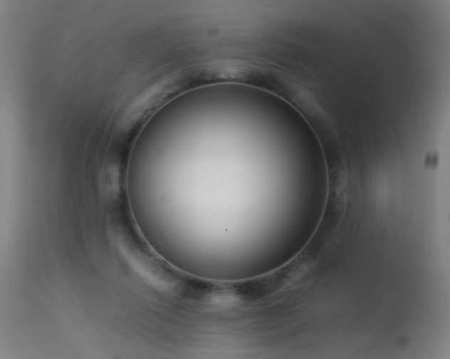 X0000113370262200909221230
