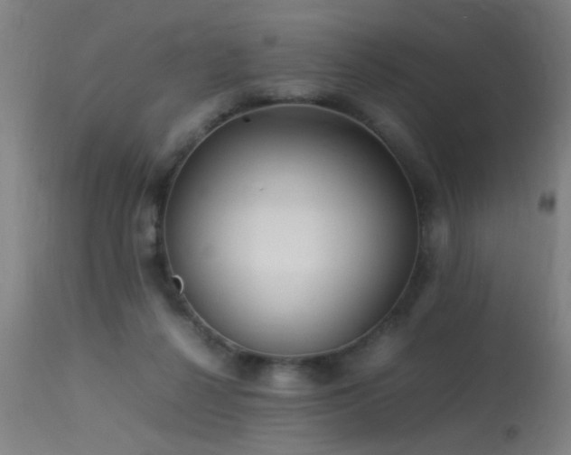 X0000113370264200909221230