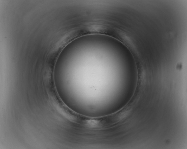 X0000113370265200909221230