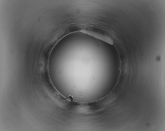 X0000113370266200909221230