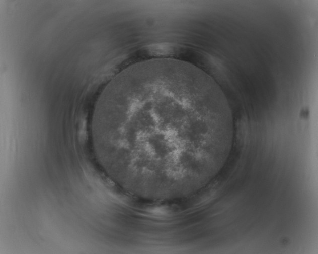 X0000113370267200909221230