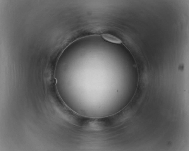 X0000113370268200909221230