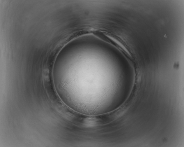 X0000113370269200909221230