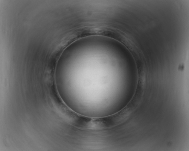 X0000113370270200909221230