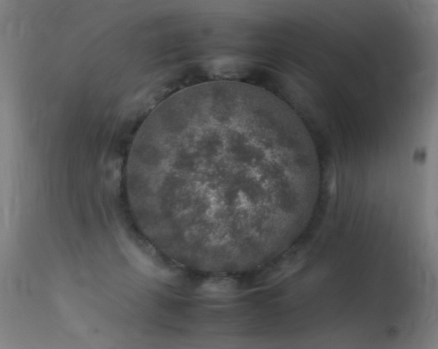 X0000113370271200909221230