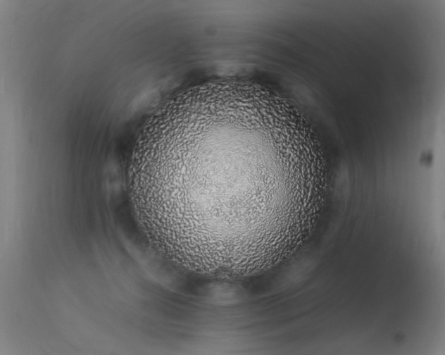 X0000113370272200909221230