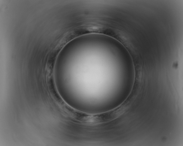 X0000113370273200909221230