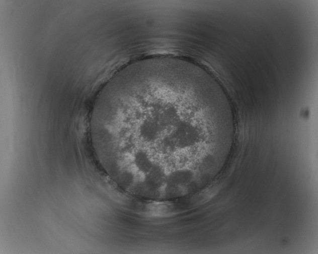 X0000113370277200909221230