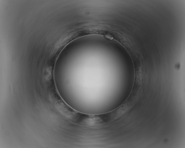 X0000113370278200909221230