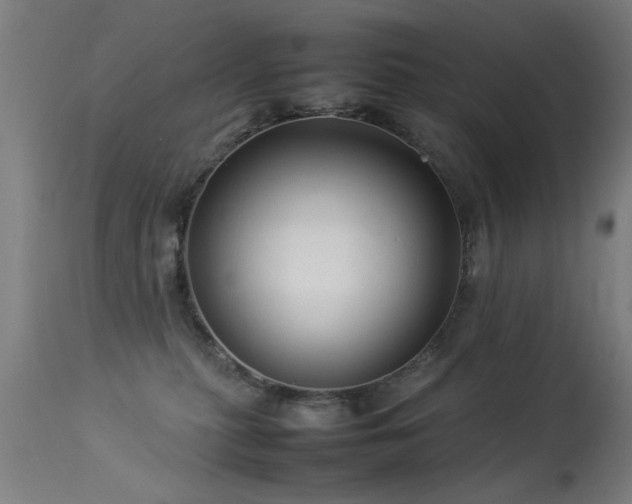 X0000113370279200909221230