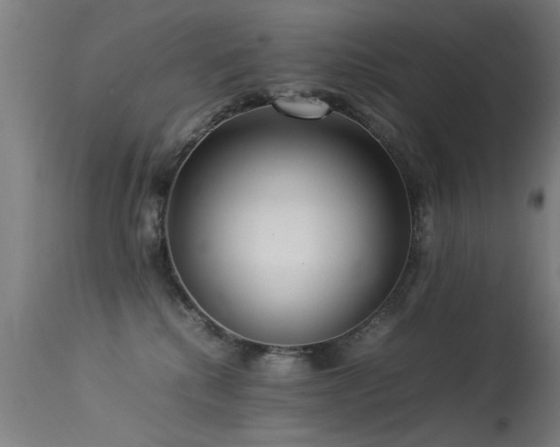 X0000113370280200909221230