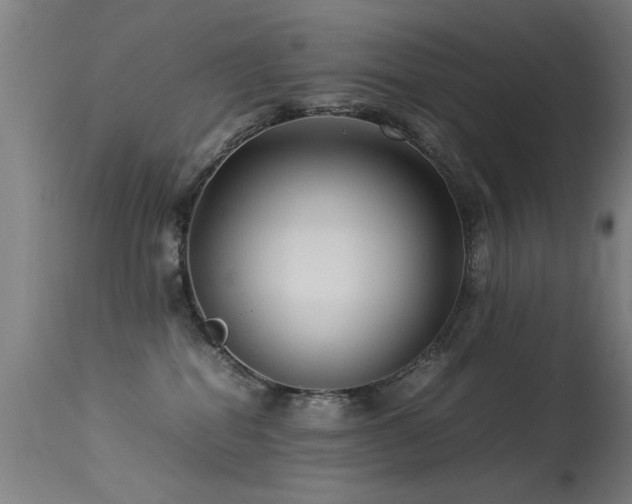 X0000113370282200909221230