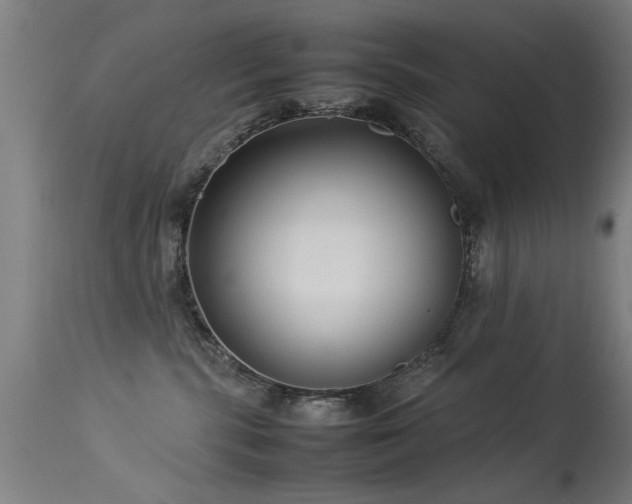 X0000113370283200909221230