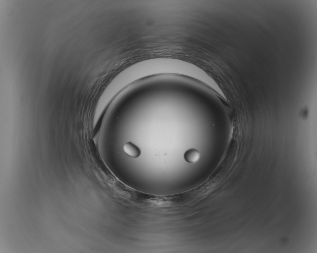X0000113370284200909221230
