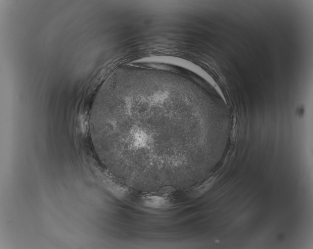 X0000113370285200909221230