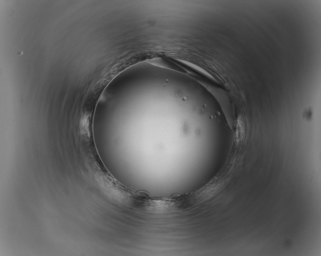 X0000113370286200909221230