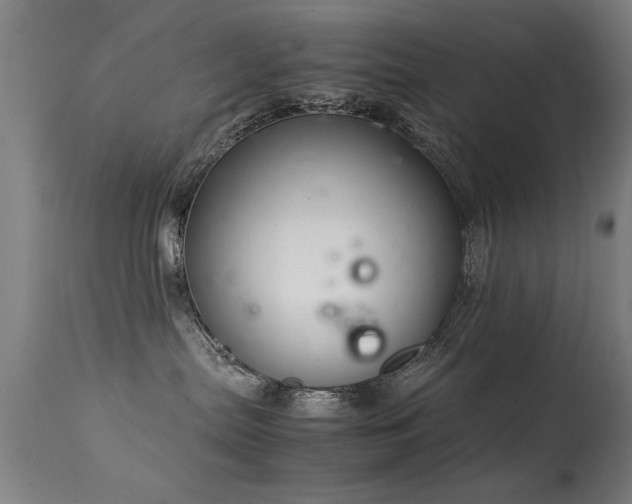 X0000113370287200909221230