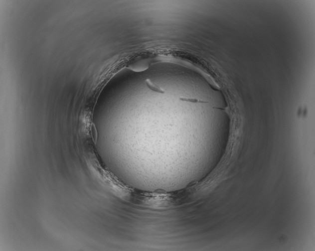 X0000113370288200909221230