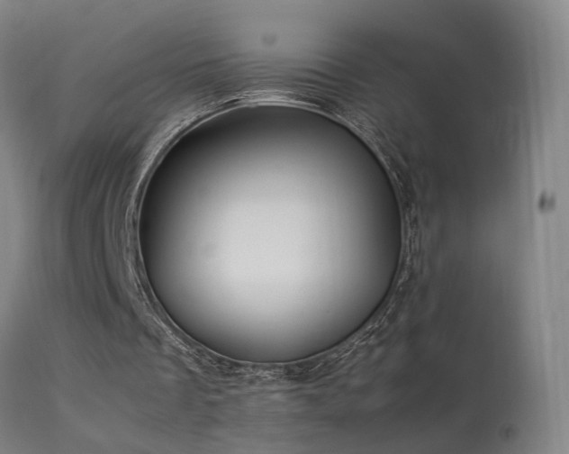 X0000113370289200909221229