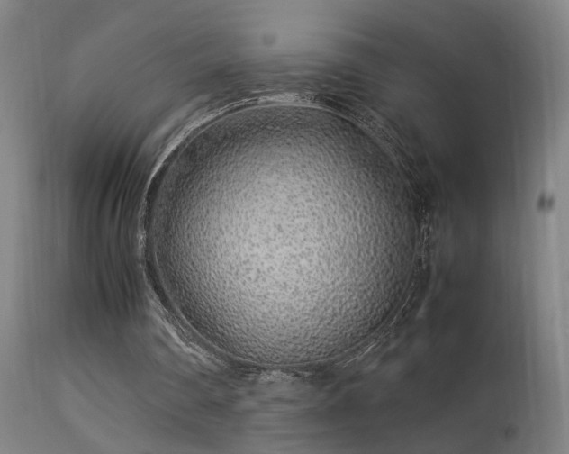 X0000113370290200909221229