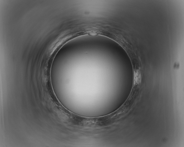 X0000113370291200909221229