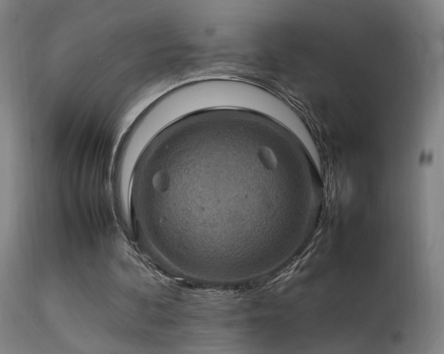 X0000113370292200909221229