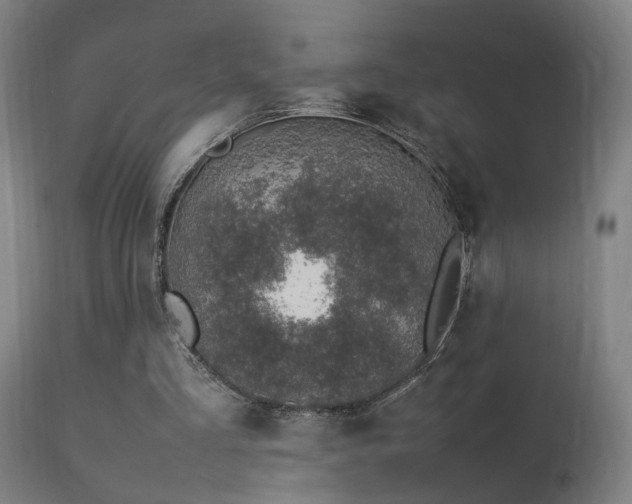 X0000113370293200909221229