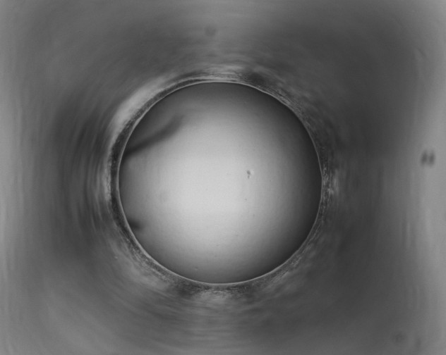 X0000113370294200909221229